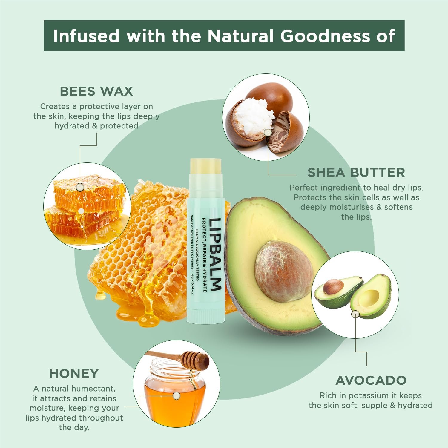 Bella Vita Organic Natural LipBalm for Dry Damaged & Chapped Lips Enriched with Shea Butter, Avocado 4 gm - Image 2